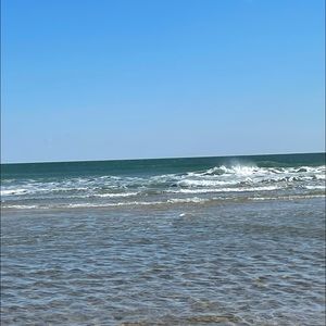 Meet your Posher, Brady